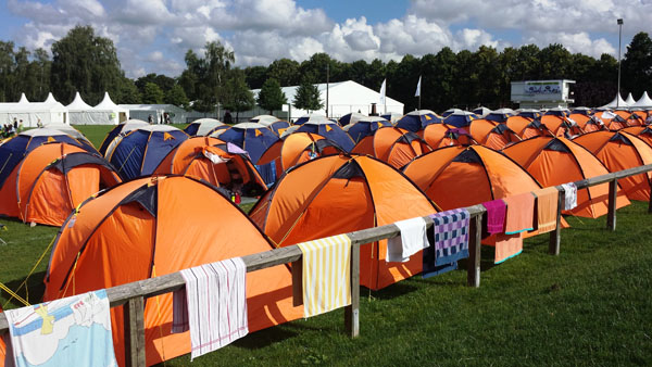 Camp-D Camp-D