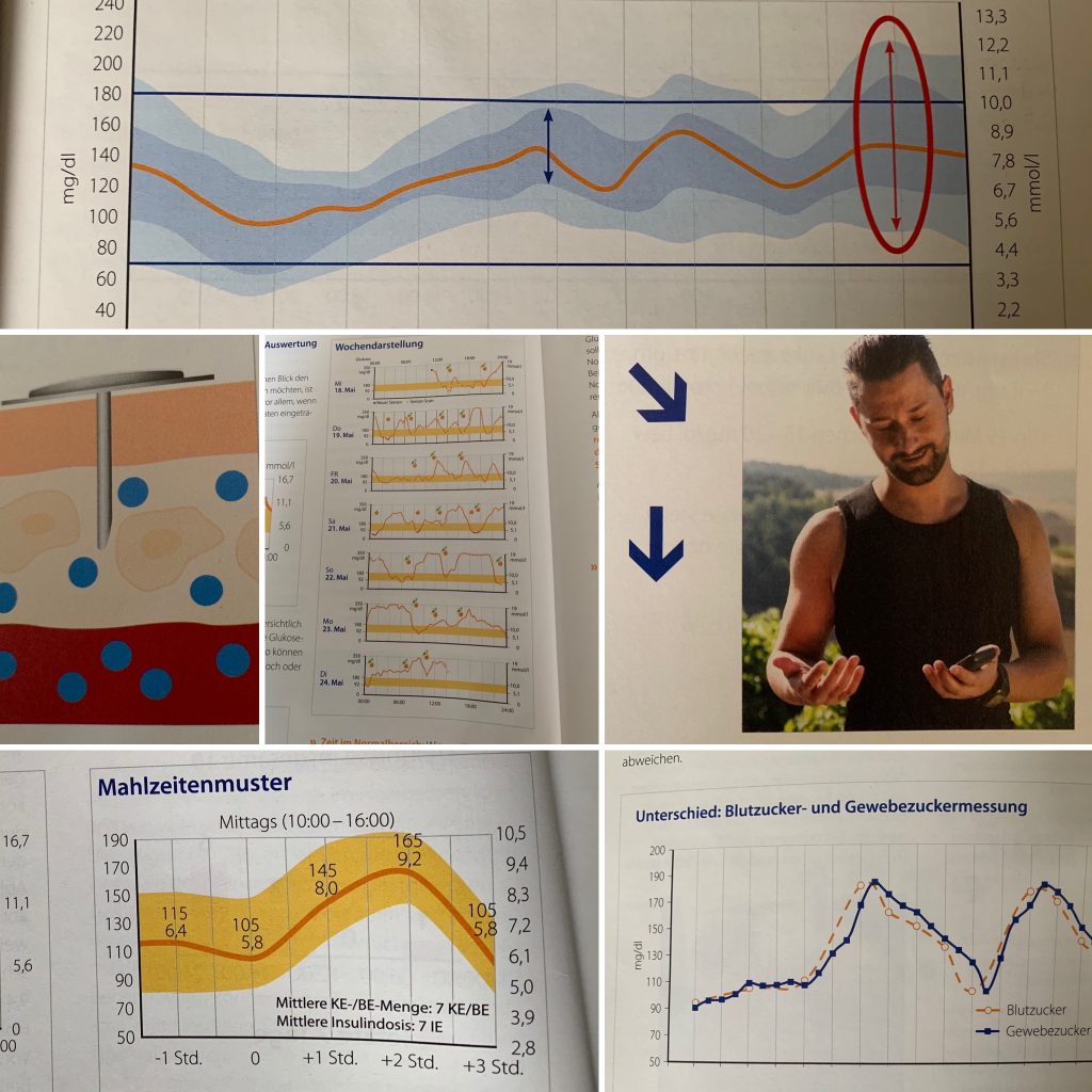 Auszug aus dem Buch "Flash: Kontinuierliche Glukosewerte besser verstehen - Ein Leitfaden für den Alltag“ 