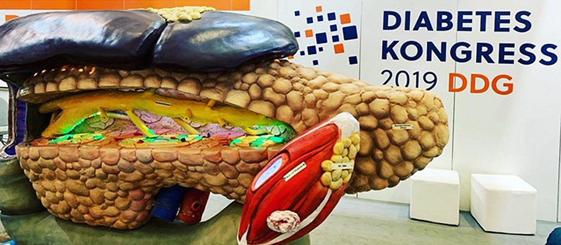 DDG-Kongress