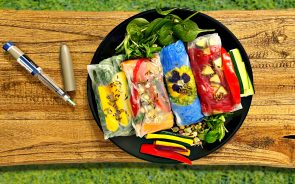 Bunte Sommerrollen