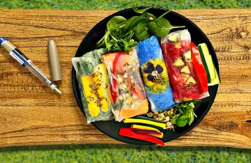 Bunte Sommerrollen