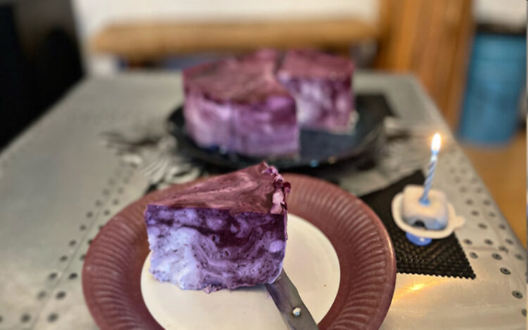 DIASHOP Blaubeer-Quark-Kuchen